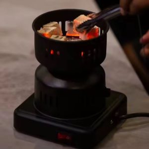 Charbon électrique